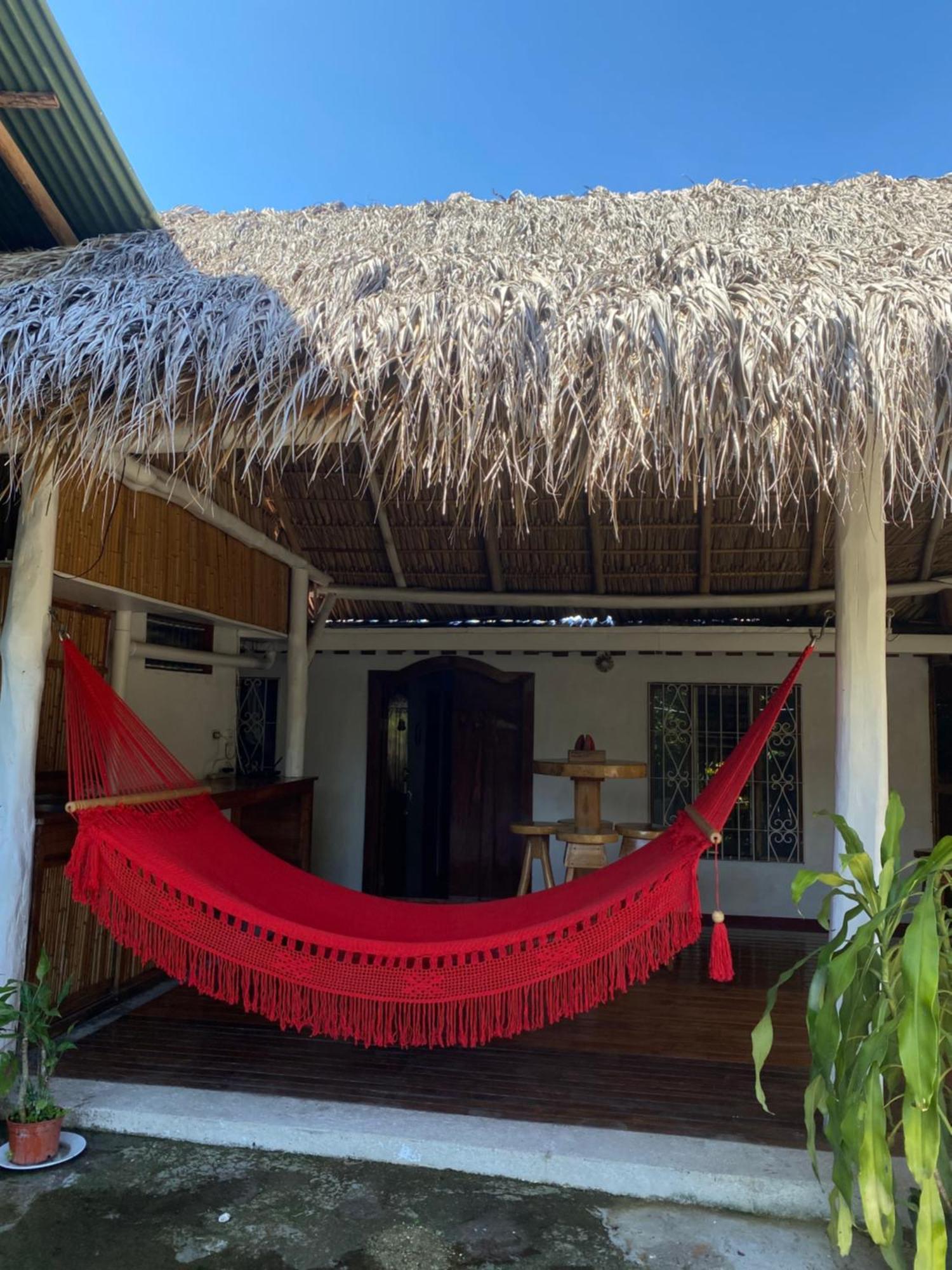 Mauras Tropical Mini Hostel & Tours Paquera Eksteriør billede