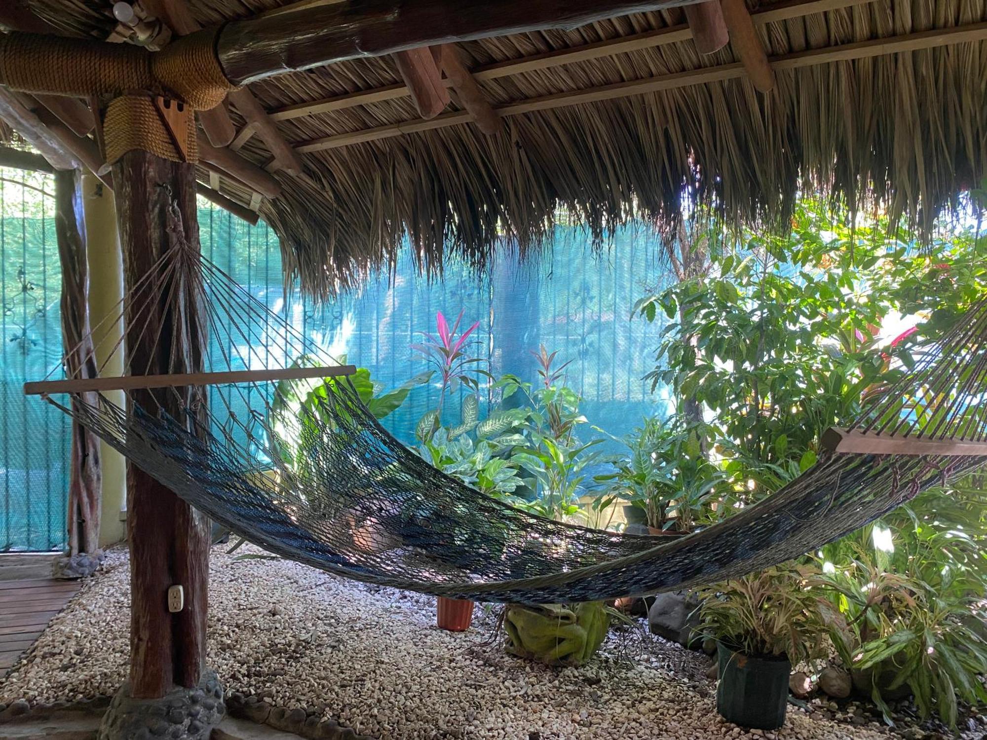 Mauras Tropical Mini Hostel & Tours Paquera Eksteriør billede